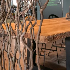 Korkenzieherweide-Raumteiler Ture | Mit Naturbelassenem Fuß | H165cm