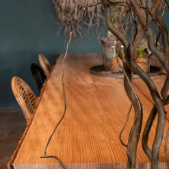 Korkenzieherweide-Raumteiler Ture | Mit Naturbelassenem Fuß | H165cm