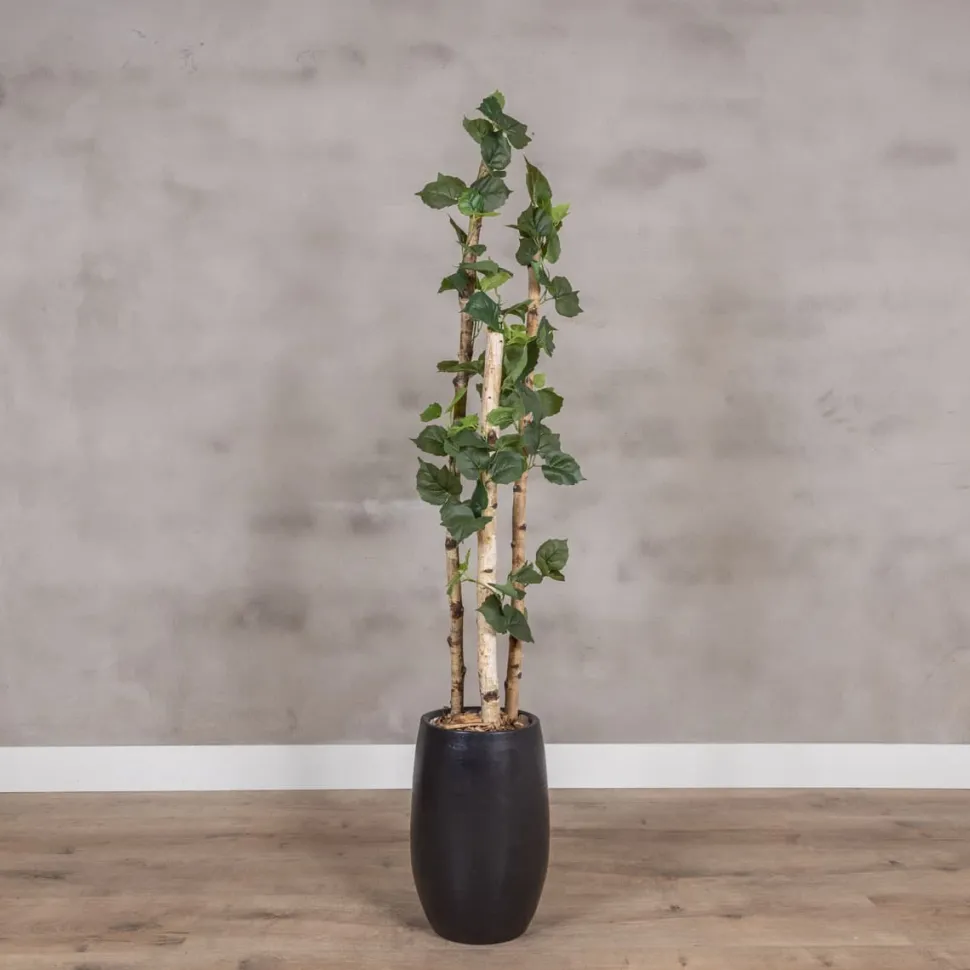 Kunstpflanze Birke | Grün | Mit Topf | 160cm