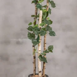 Kunstpflanze Birke | Grün | Mit Topf | 160cm