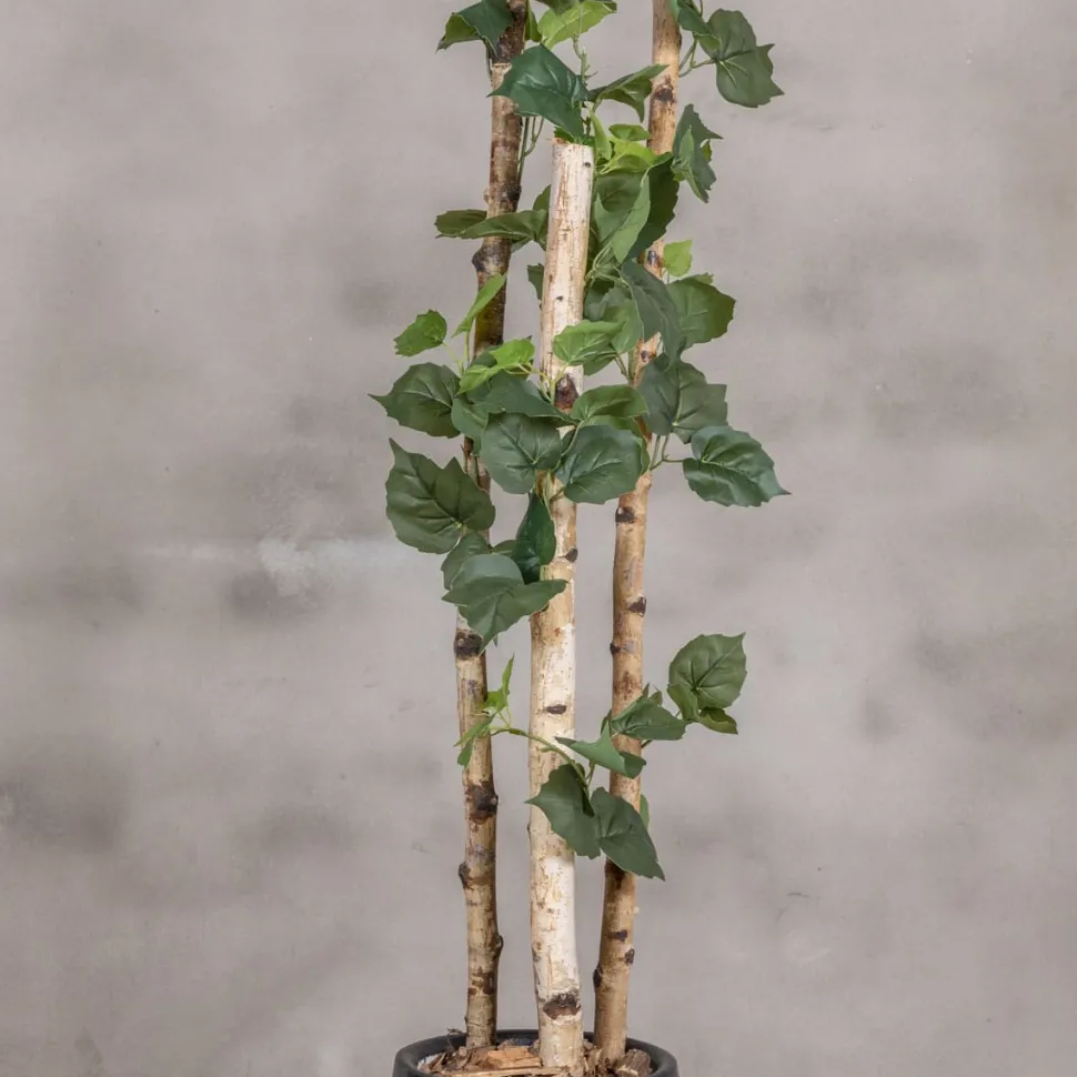 Kunstpflanze Birke | Grün | Mit Topf | 160cm