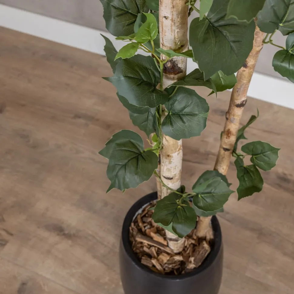 Kunstpflanze Birke | Grün | Mit Topf | 160cm