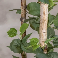 Kunstpflanze Birke | Grün | Mit Topf | 160cm