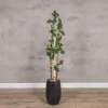 Kunstpflanze Birke | Grün | Ohne Topf | 160cm