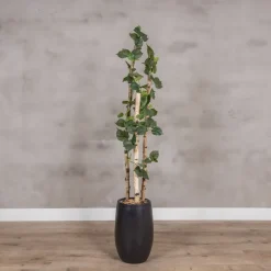 Kunstpflanze Birke | Grün | Ohne Topf | 160cm