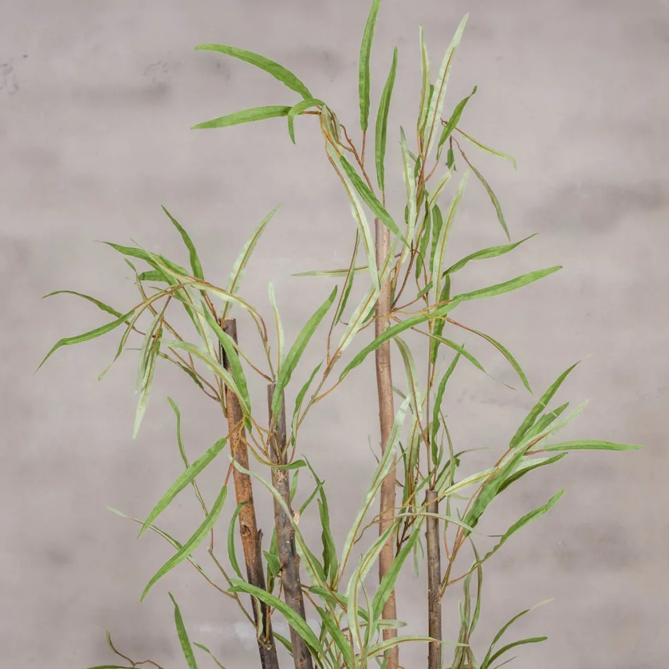 Kunstpflanze Eucalyptus | Grün | 120cm