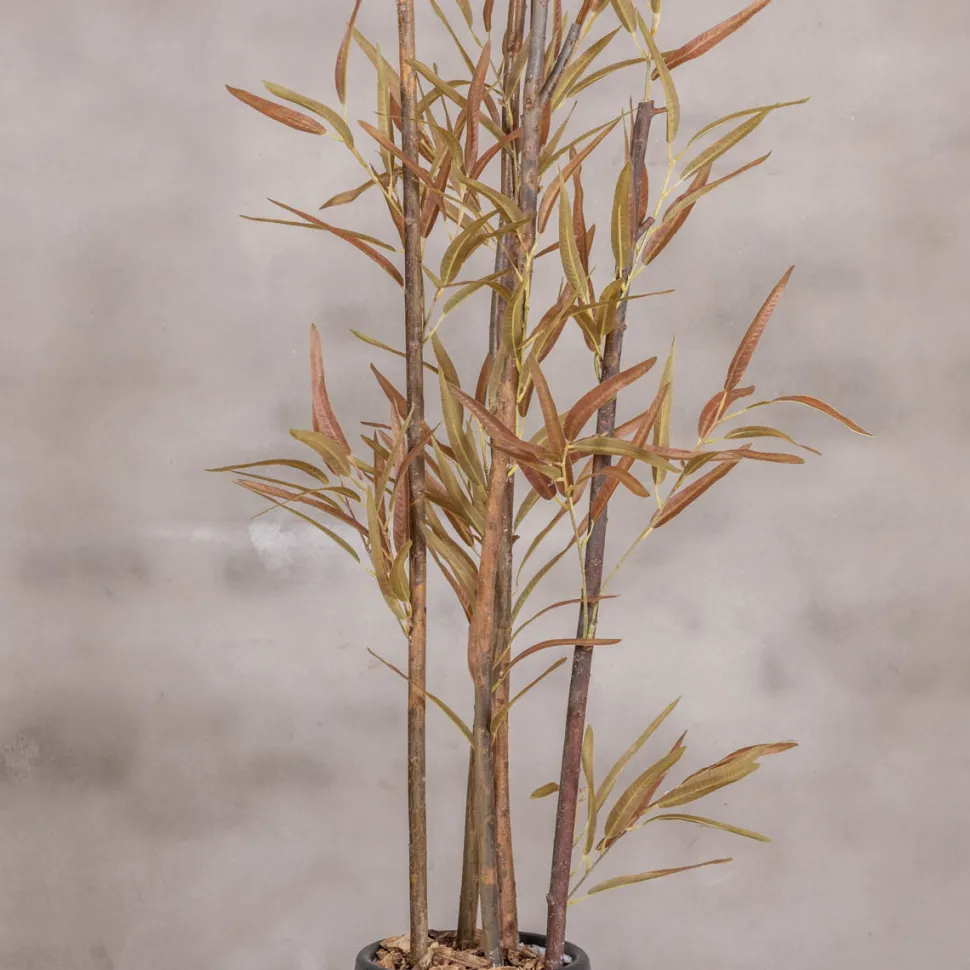 Kunstpflanze Eucalyptus | Rot/Grün | 120cm