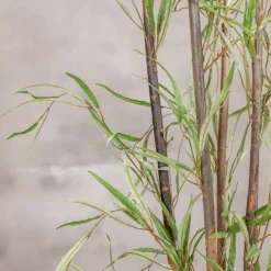 Kunstpflanze Eucalyptus | Grün | Ohne Topf | 160cm