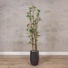 Kunstpflanze Ficus | Grün | Ohne Topf | 160cm