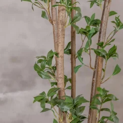 Kunstpflanze Ficus | Grün | Ohne Topf | 160cm