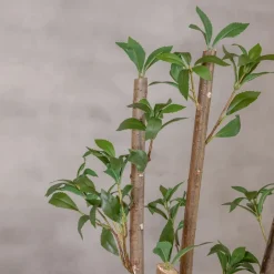 Kunstpflanze Ficus | Grün | Ohne Topf | 160cm