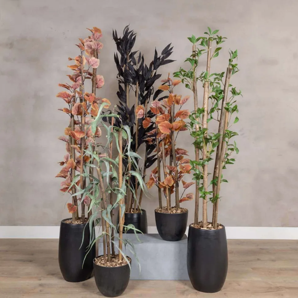 Kunstpflanze Mango | Schwarz | Mit Topf | 160cm