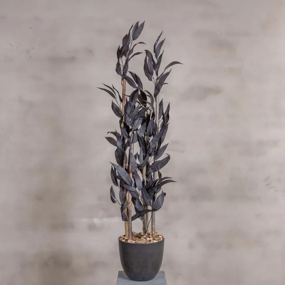 Kunstpflanze Mango | Schwarz | 120cm