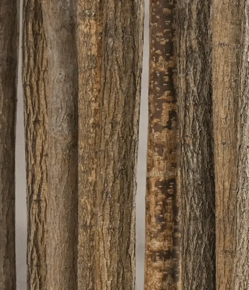 Linden-Raumteiler Vita | Mit schwarzen Fuß | H200cm