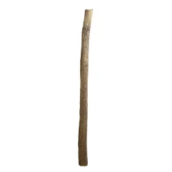 Lindenstamm | Länge 50–150 cm | Ø 8-9cm