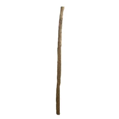 Lindenstamm | Länge 175-250 cm | Ø 6-7cm