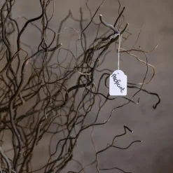 Luxus Wunschbaum | Naturbelassen | 150cm