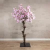 Magnolienbaum | Rosa | 180 cm