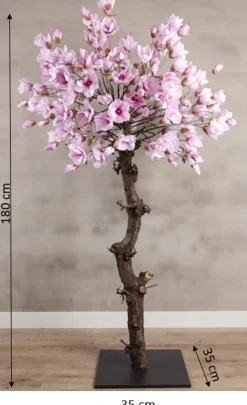 Magnolienbaum | Rosa | 180 cm