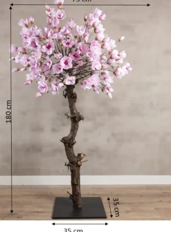Magnolienbaum | Rosa | 180 cm