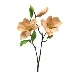 Magnolienzweig | Altrosa | 60cm