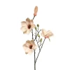 Magnolienzweig | Helllachs | 80cm