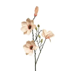 Magnolienzweig | Helllachs | 80cm