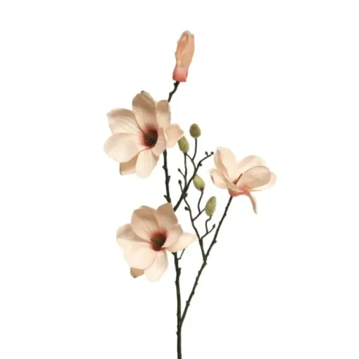 Magnolienzweig | Helllachs | 80cm