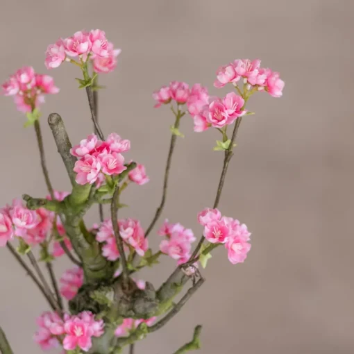 Mini-Blütenbaum Charlotte | leuchtend Rosa | 70 cm