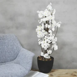 Mini-Blütenbaum Juliette | Weiß | 70 cm