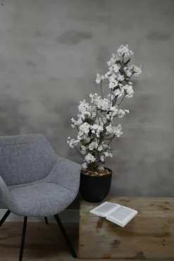 Mini-Blütenbaum Juliette | Weiß | 100 cm