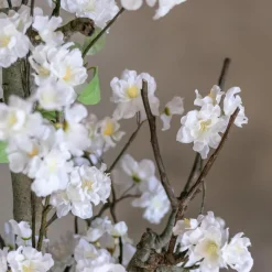 Mini-Blütenbaum Sterre | weiß mit einem Hauch von rosa | 100 cm