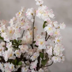 Mini-Blütenbaum Sterre | Weiß mit einem Hauch von rosa | 70 cm