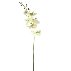 Orchidee | Hellgrün | 85cm
