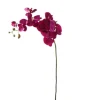 Orchidee | Magenta | 100cm