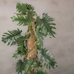 Philodendronblatt auf Stamm | Grün | 100cm