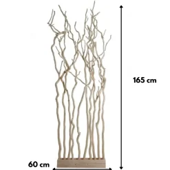 Raumteiler | Geschälte Korkenzieherweide | Mit Naturbelassenem Fuß | 165cm