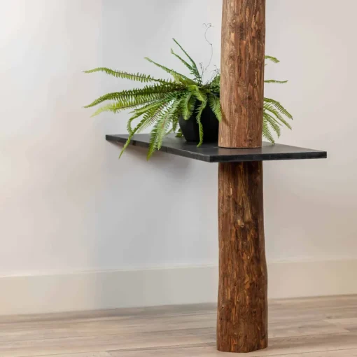 Raumteiler-Regal Alrik | Oak | Schwarze Böden | 250 cm