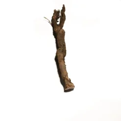 Rebholz | Länge 40-50 cm