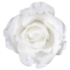 Rose | Creme