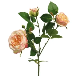 Rosenzweig | Weiß-Rosa | 60cm