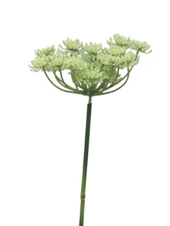 Schirmblume | Zartgrün | 100cm