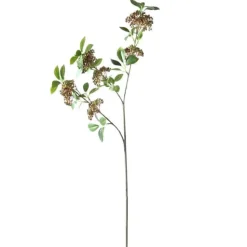 Skimmiazweig | 85cm