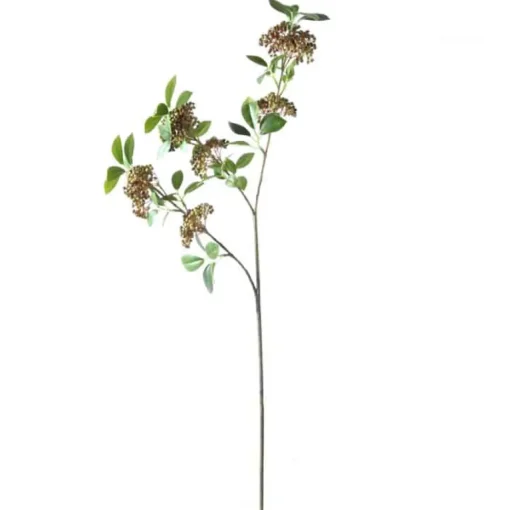 Skimmiazweig | 85cm