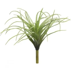 Tillandsien | Grün | 25cm