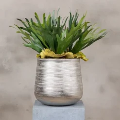 Topf Hirschhorn | 45cm