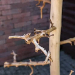 Vogelbaum Chica | mit Sitz | 100 cm