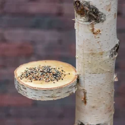 Vogelbaum Kiki | mit Sitz | 100 cm