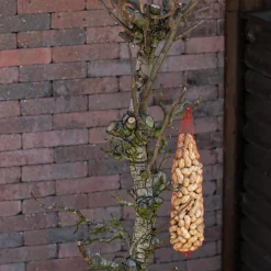 Vogelbaum Rani | 120 cm