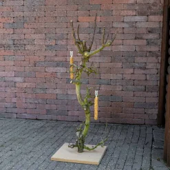 Vogelbaum Rani | 150 cm